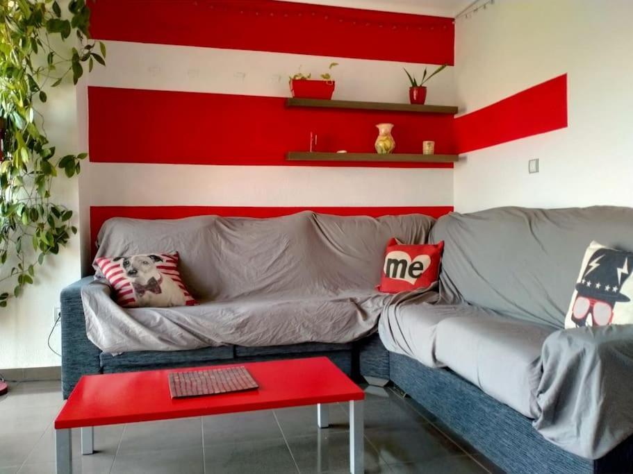 Apartament Zona Centro-Parking Gratuito Castellón de la Plana Zewnętrze zdjęcie